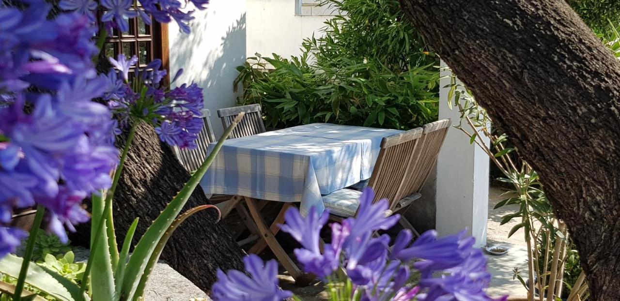 Srsen Appartement Kuciste